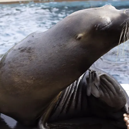 Hotel Casona El Arral