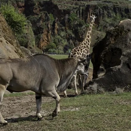 Hotel Casona El Arral Liérganes