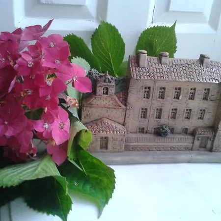 酒店 阿拉尔卡索纳酒店 3*