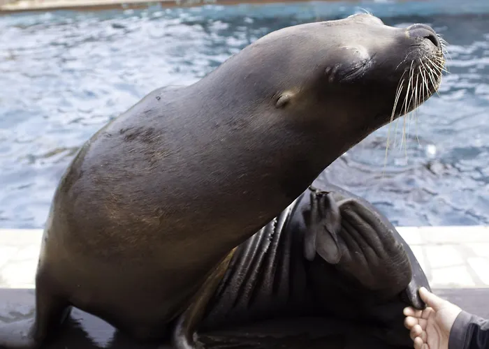 Hotel Casona El Arral