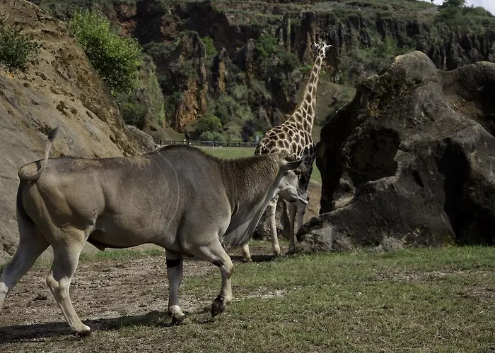 Otel Casona El Arral Liérganes